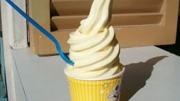 Where To Find a Dole Whip at Disney World