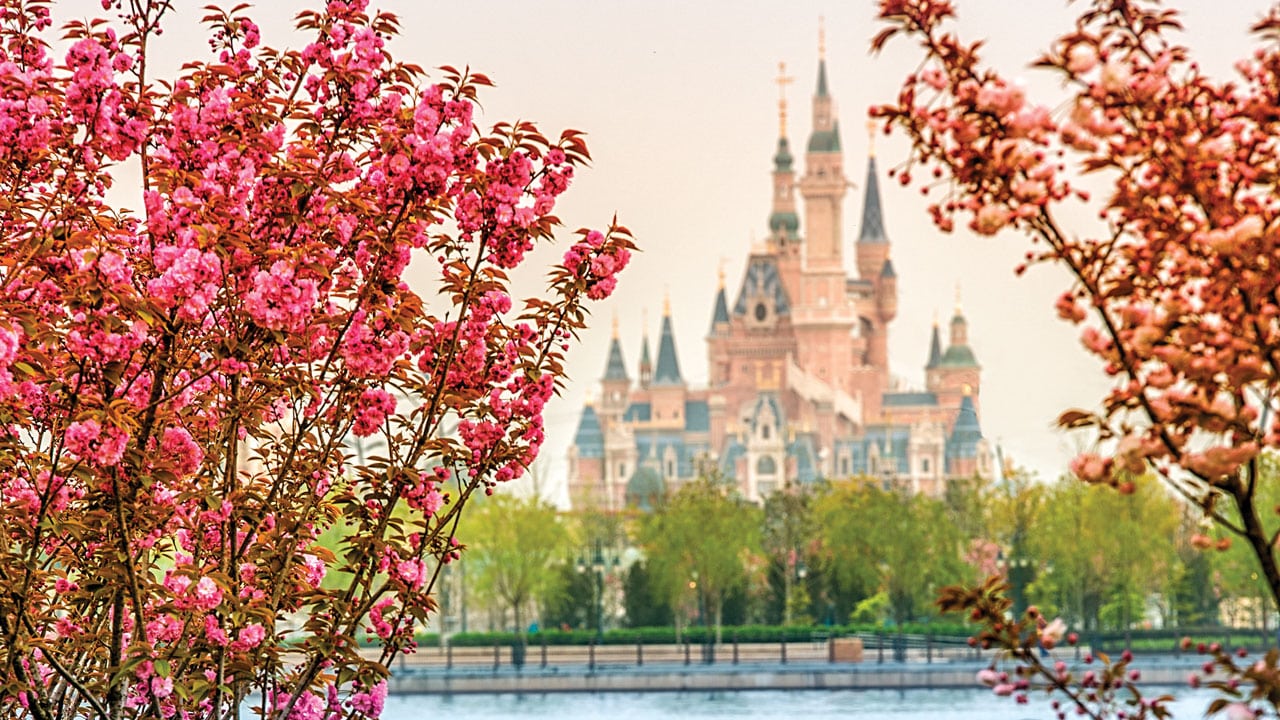 Shanghai Disneyland Resort news