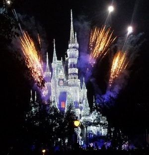 A Frozen Holiday Wish Cinderella castle disney world