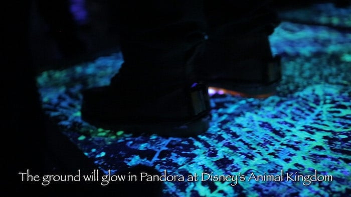 avatar pandora disney world
