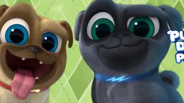 puppy dog pals toys and products