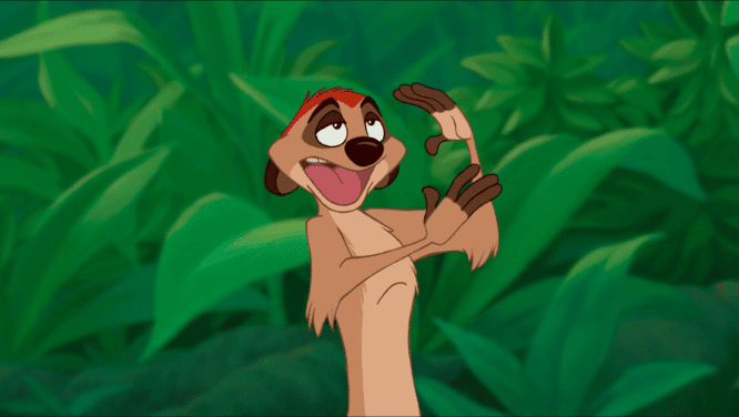 Timon is Coming to Disney's Animal Kingdom; Find Out Where