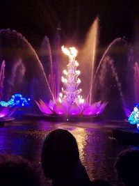 Rivers of Light (Extinct Disney World Show)