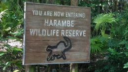 Harambe Wildlife Party