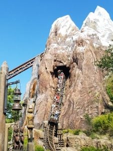 Expedition Everest (Disney World)