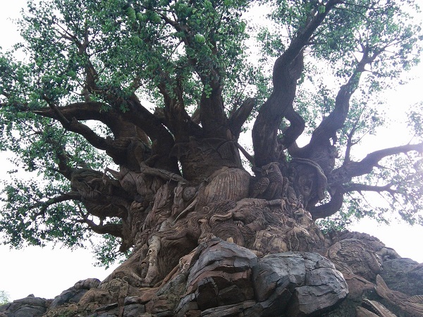 Tree of Life disney's animal kingdom