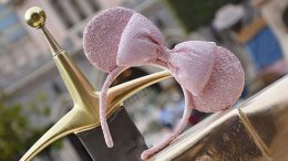 disney Millennial Pink Ears