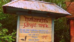 Maharajah Jungle Trek (Disney World)