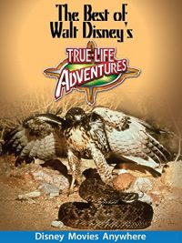 The Best Of Walt Disney’s True-Life Adventures (1975 Movie)