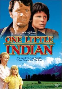 One Little Indian (1973 Movie)