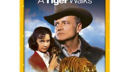 A Tiger Walks (1964 Movie)