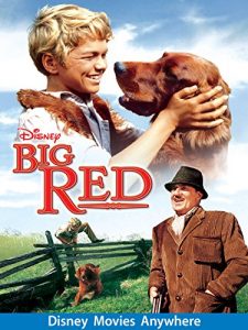 Big Red (1962 Movie)