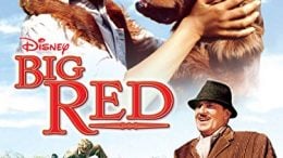 Big Red (1962 Movie)