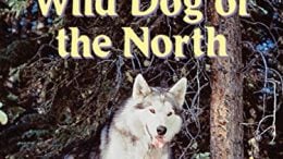 Nikki Wild Dog Of The North (1961 Movie)