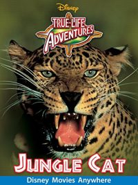 Jungle Cat (1959 Disney Movie)