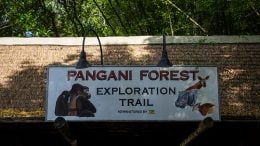 “Pangani Forest Exploration Trail (Disney World)” is locked Pangani Forest Exploration Trail (Disney World)