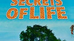 Secrets Of Life (1956 Movie)