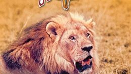 The African Lion (1955 Movie)