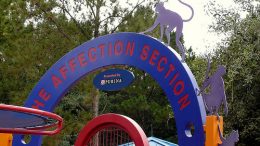 Affection Section (Disney World)