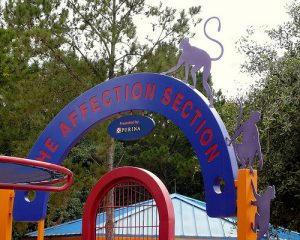 Affection Section (Disney World)