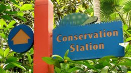 Conservation Station (Disney World)