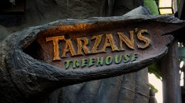 Tarzan’s Treehouse disneyland