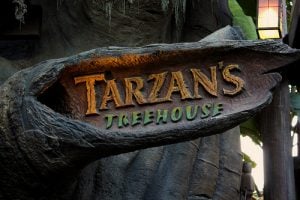 Tarzan’s Treehouse disneyland