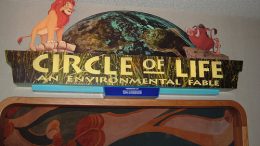 The Circle of Life Disney World