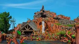 Splash Mountain Disney World