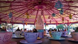 Mad Tea Party disney world