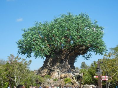 Tree of Life (Disney World Attraction)
