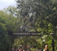 Discovery Island Trails (Disney World Attraction)