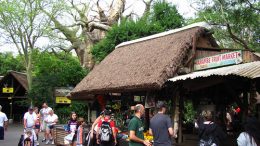 Harambe Fruit Market (Disney World)