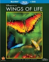 Wings Of Life (2013 Movie)