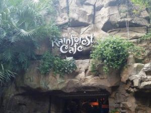 Rainforest Café Restaurant (Disney World)