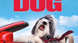 The Shaggy Dog (2006 Movie)