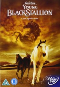 The Young Black Stallion (2003 Movie)