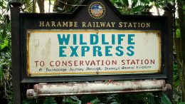 Wildlife Express Train (Disney World)