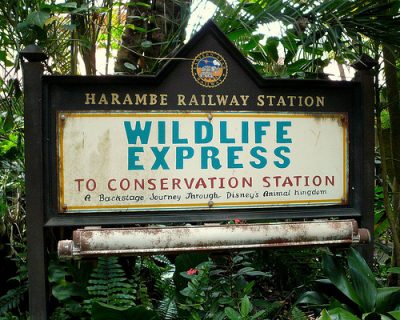 Wildlife Express Train (Disney World Ride)