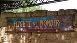 Flights of Wonder Disney World