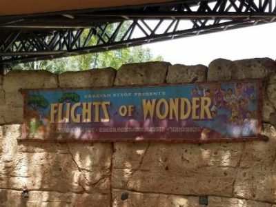 Flights of Wonder Disney World