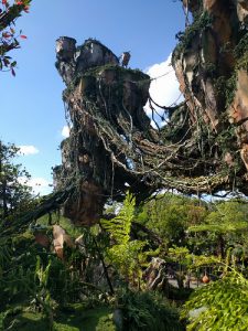 Avatar Flight of Passage (Disney World)