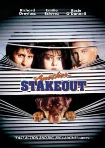 Another Stakeout (Touchstone Movie)