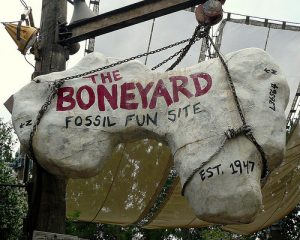 Boneyard (Disney World)