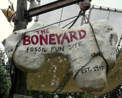 Boneyard (Disney World Attraction)