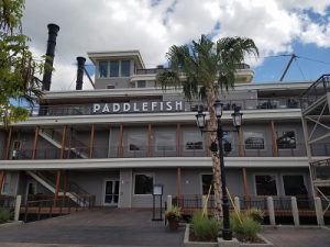 Paddlefish disney springs