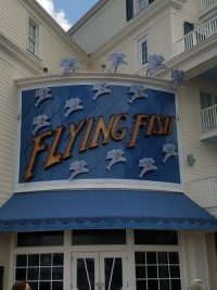 Flying Fish (Disney World)