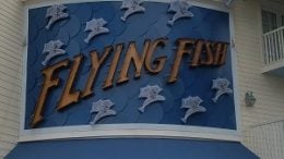 Flying Fish