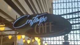 Contempo Cafe disney world