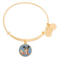 Chip 'n Dale 2018 Alex and Ani Bangle